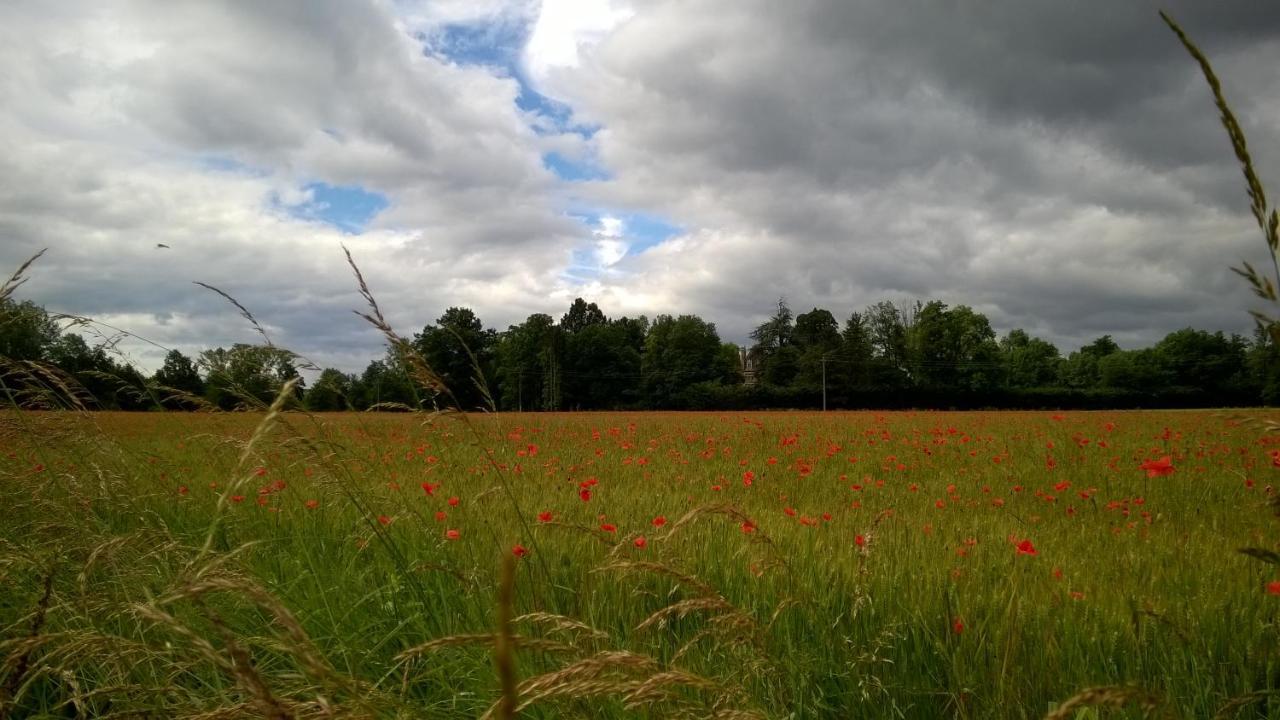 Chateau De La Vernede, La Grande Vernede Saint-Remy-de-Chargnat ภายนอก รูปภาพ