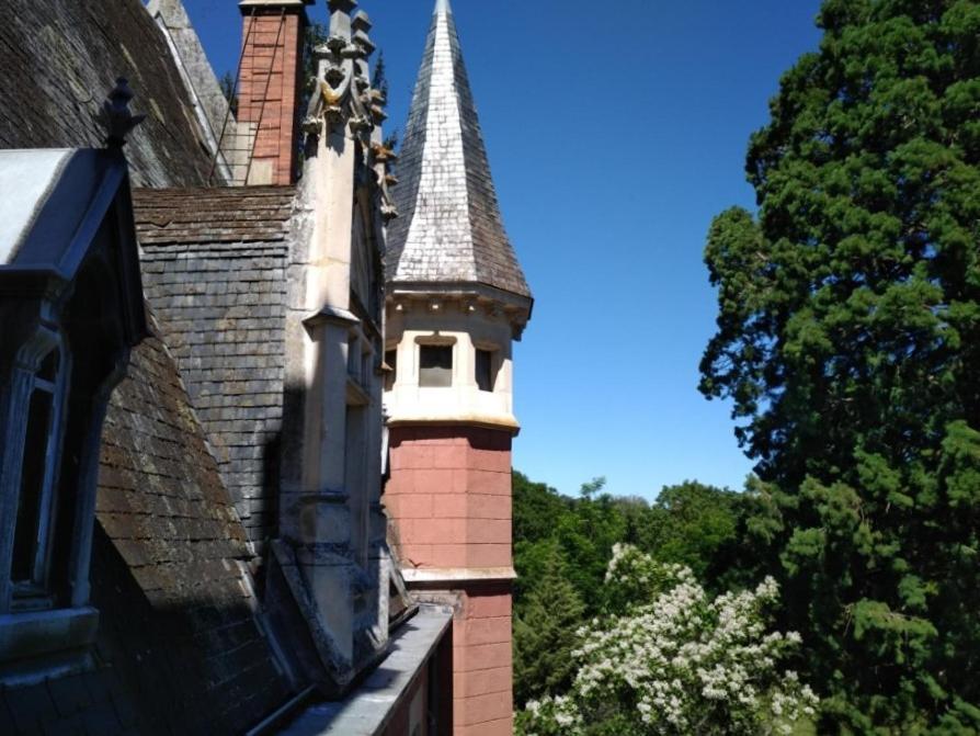 Chateau De La Vernede, La Grande Vernede Saint-Remy-de-Chargnat ภายนอก รูปภาพ